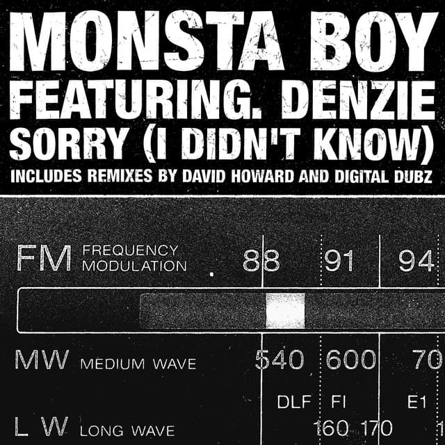 Monsta Boy - Sorry! (Didn't Know) [Original Radio Edit]